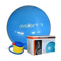 Gym Ball – 75 Cms